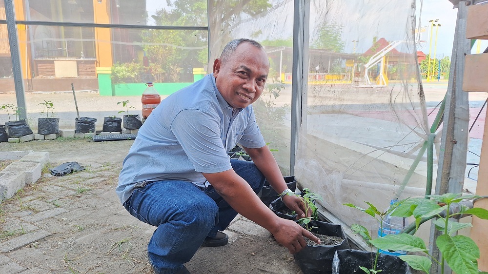 Antisipasi Gagal Panen, Dekan Fakultas Pertanian Anjurkan Petani Tembakau Gunakan Mulsa Plastik